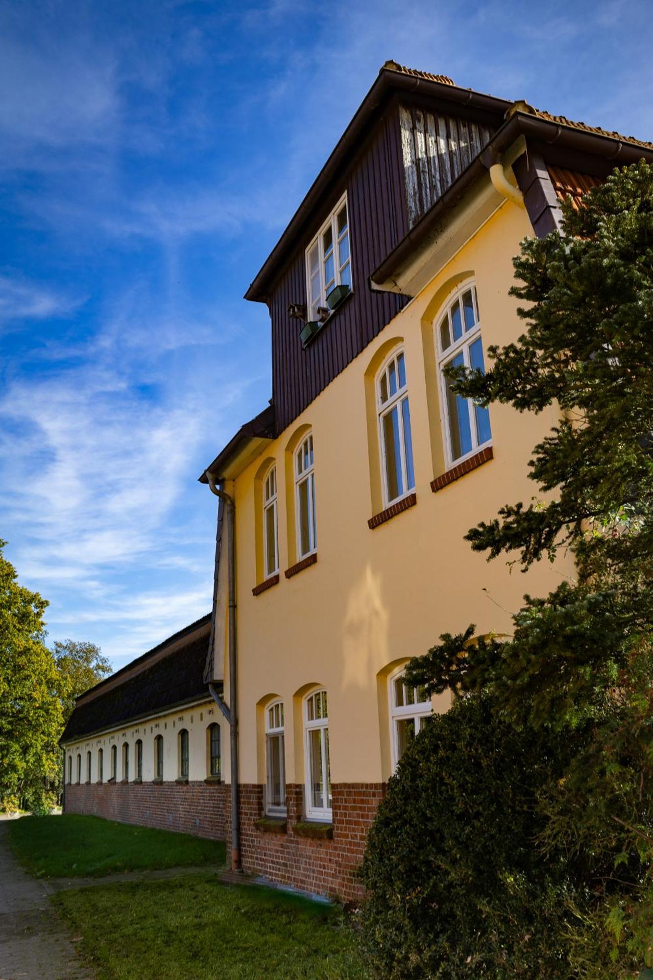 Fewo Mit Pferdeboxen, Paddock Und Weide In Der Lueneburger Heide Apartment Vierhofen Exterior foto